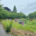 びわこ豊穣の郷 目田レンジャー　守山市図書館横の目田川で活動するようす