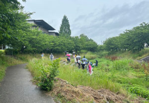 びわこ豊穣の郷 目田レンジャー　守山市図書館横の目田川で活動するようす