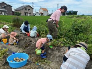 かえでの庭　活動のようす　親子でじゃがいも掘り