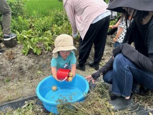 かえでの庭　活動のようす　小さなバケツでじゃがいもを運ぶ子ども